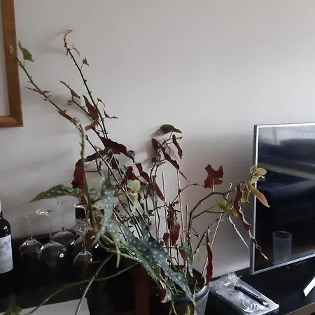 2 Bed/2 Baths In Center Next To Kytaro * Dusseldorf